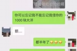 平湖专业讨债公司有哪些核心服务？